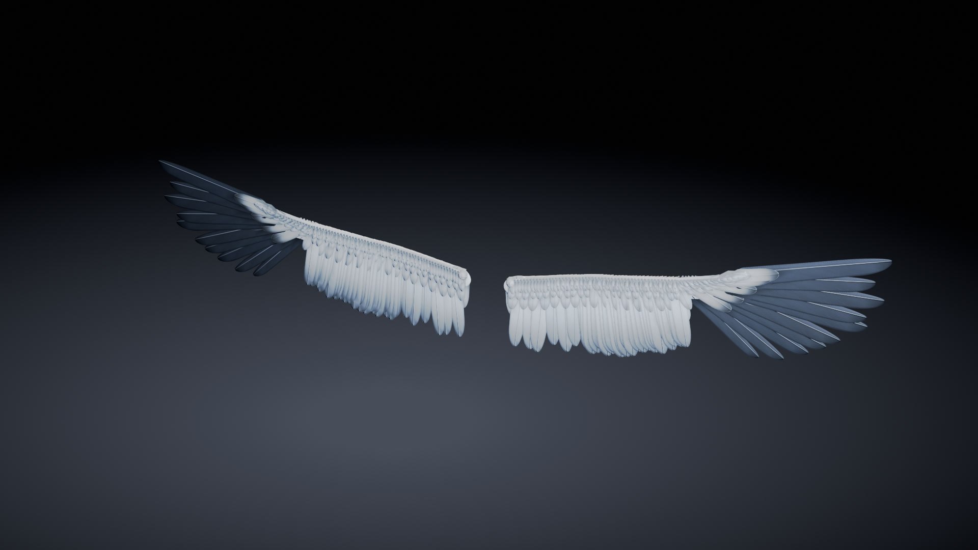 Wandering Albatross Wings - Rigged And Animated - Game Ready With LODs ...