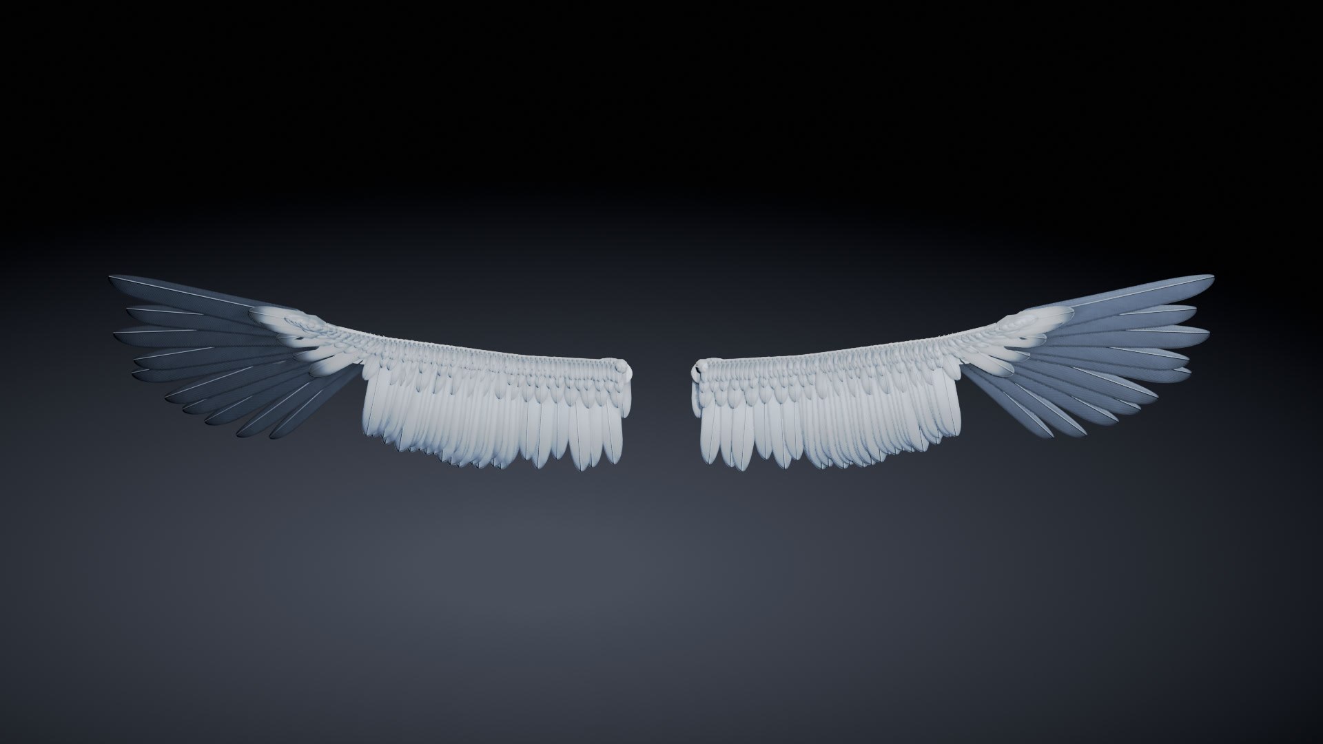 Wandering Albatross Wings - Rigged And Animated - Game Ready With LODs ...