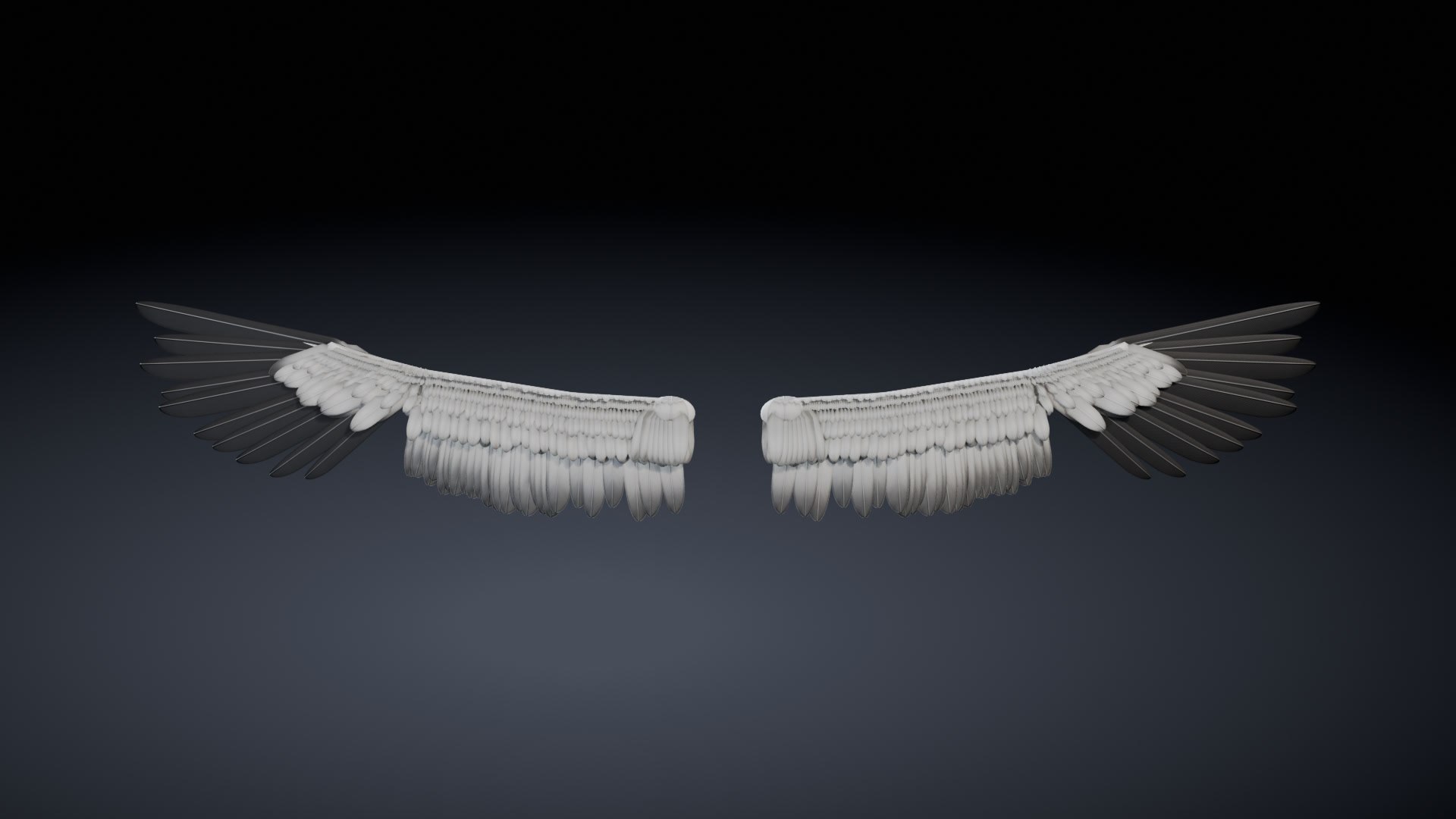 Wandering Albatross Wings - Rigged And Animated - Game Ready With LODs ...