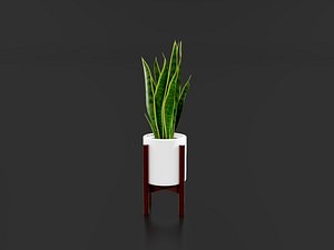3D Sansevieria Pot model