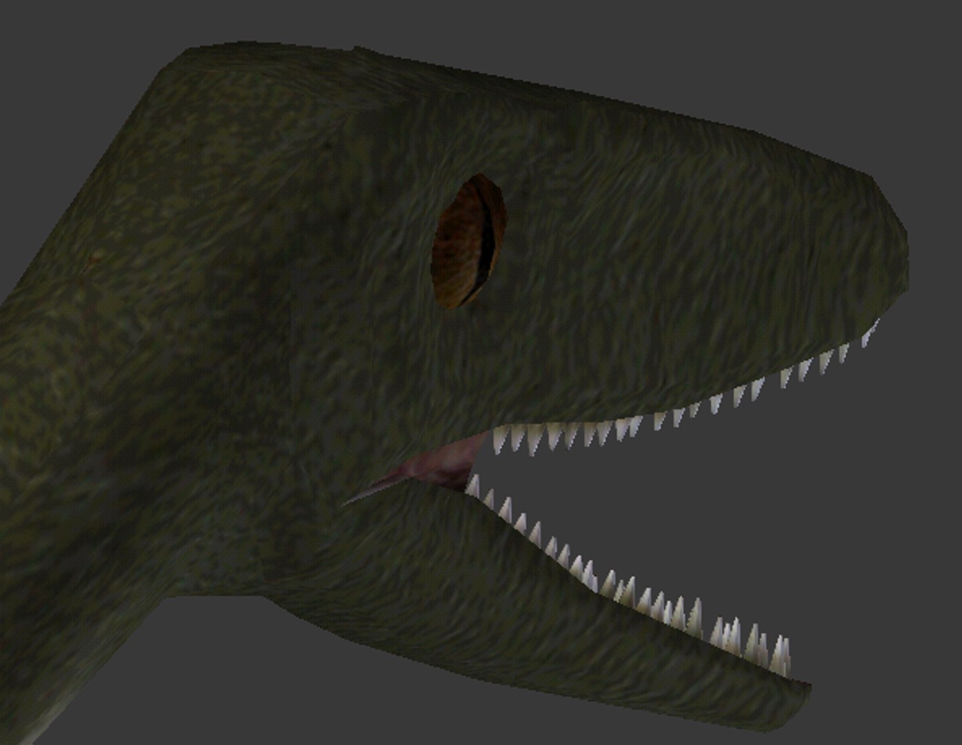 coelophysis triassic dinosaur 3d 3ds https://p.turbosquid.com/ts-thumb/3z/MFgwAb/Ji9WLb8Y/7/png/1359230378/1920x1080/fit_q87/9df7ac8af71af84ec1288cc094612a1f1c7c7a34/7.jpg