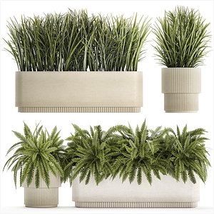 3D Beautiful fern plants and grass bushes in pots for decoration 1338 model