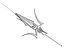 Halberd