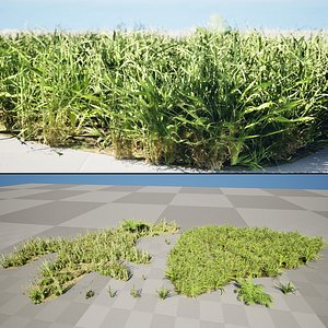 LowPoly 3D Grass Assets - Meadows  Clumps