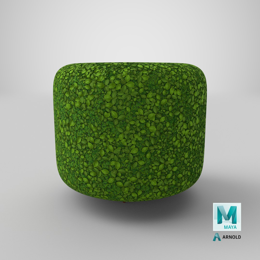 3D Stylized Cylinder Bush V1 model https://p.turbosquid.com/ts-thumb/3z/rWJDy5/D6/stemcell_maya_arnold_render/png/1690333923/1920x1080/fit_q87/0bc357f81f293074a7c2058c55f71d3db55d4bed/stemcell_maya_arnold_render.jpg