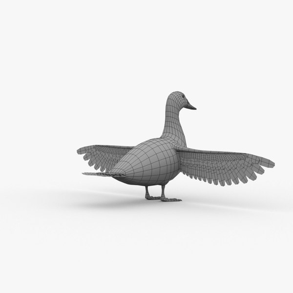 modelo 3d duck basemesh - TurboSquid 2006907