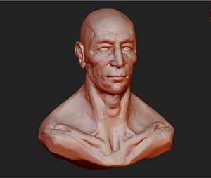 Head Sculpt
