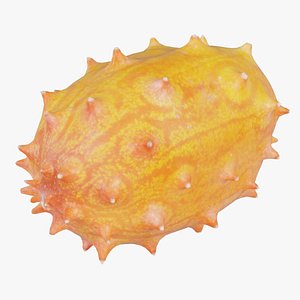 Kiwano Remastered 3D model