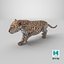 Pose de filhote de leopardo se esgueirando