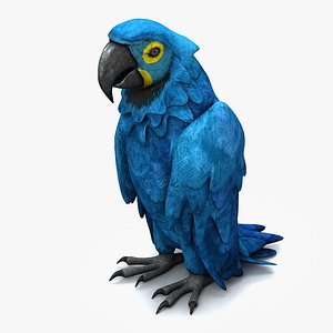Parrot 4