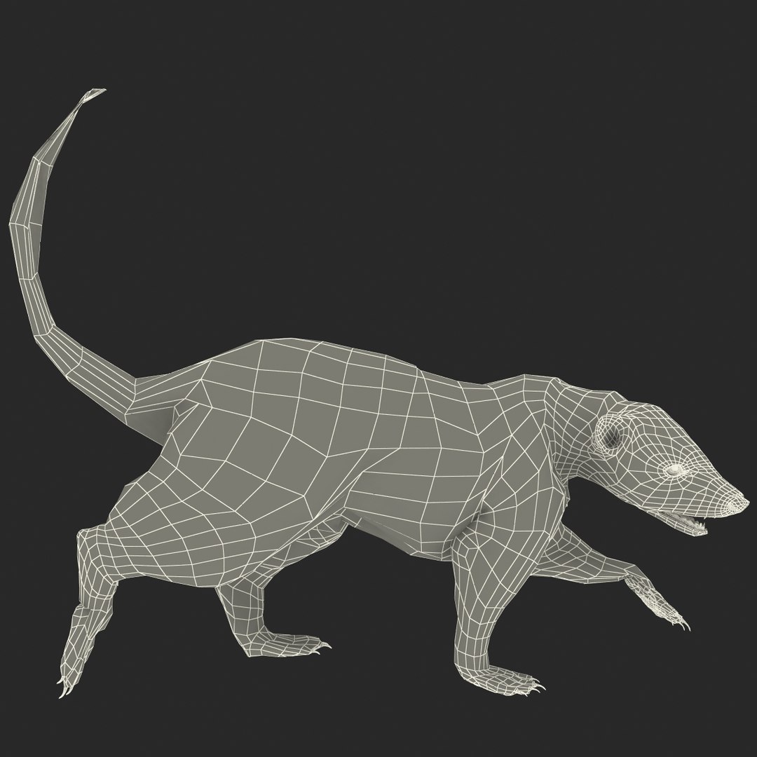 3d Skunk Pose 2