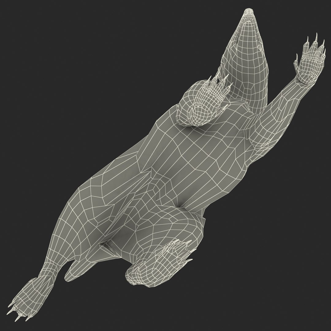 3d Skunk Pose 2