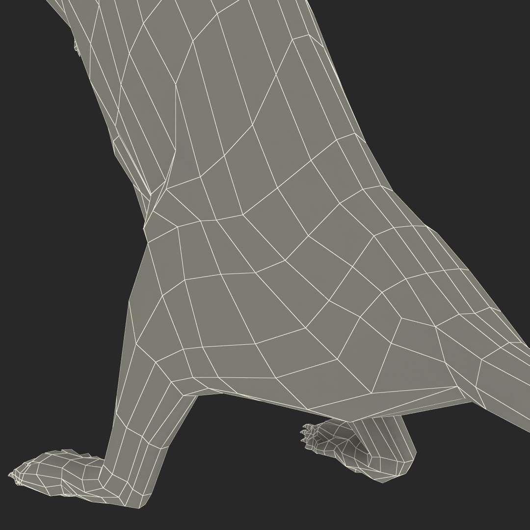 weasel pose 2 fur 3d model https://p.turbosquid.com/ts-thumb/40/Wg5qmG/GrBOXDrb/weaselpose2fur_29/jpg/1384802853/1920x1080/fit_q87/f82e6c2547cdbea05465f71c9375d5fe8baf232b/weaselpose2fur_29.jpg