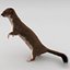Weasel Pose 2 Fur