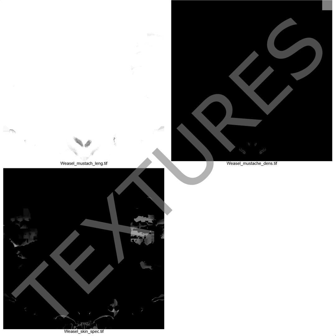 weasel pose 2 fur 3d model https://p.turbosquid.com/ts-thumb/40/Wg5qmG/L37zc1gN/weaselpose2fur_5/jpg/1384802764/1920x1080/fit_q87/eb70fb42a0dae5c6a372c1337389afb60b330776/weaselpose2fur_5.jpg