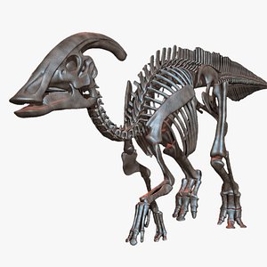 parasaurolophus skeleton saurolophus 3D model
