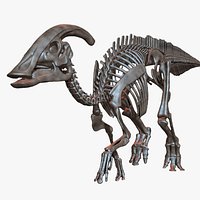 Parasaurolophus skeleton