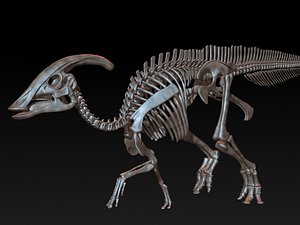 parasaurolophus skeleton saurolophus 3D model