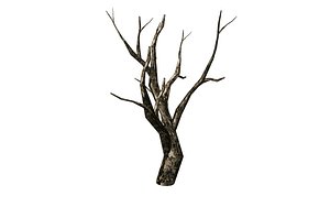 3D tree site