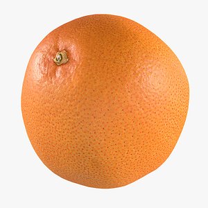 Grapefruit model