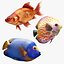 Tropic Fish Collection 1