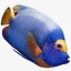 Tropic Fish Collection 1