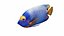 Tropic Fish Collection 1