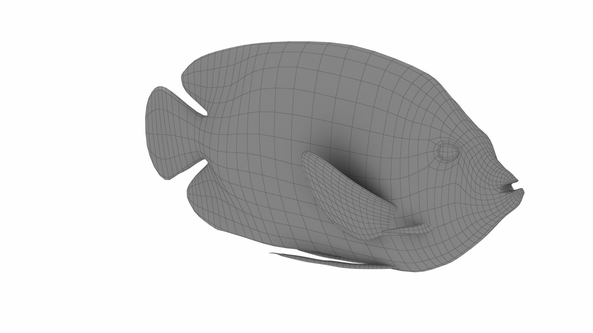 Tropic Fish 1 Model - TurboSquid 1484644