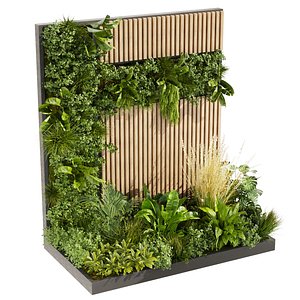 Collection plant vol 482 - garden - leaf - palm - grass - 3dsmax - cinema 4d 3D model