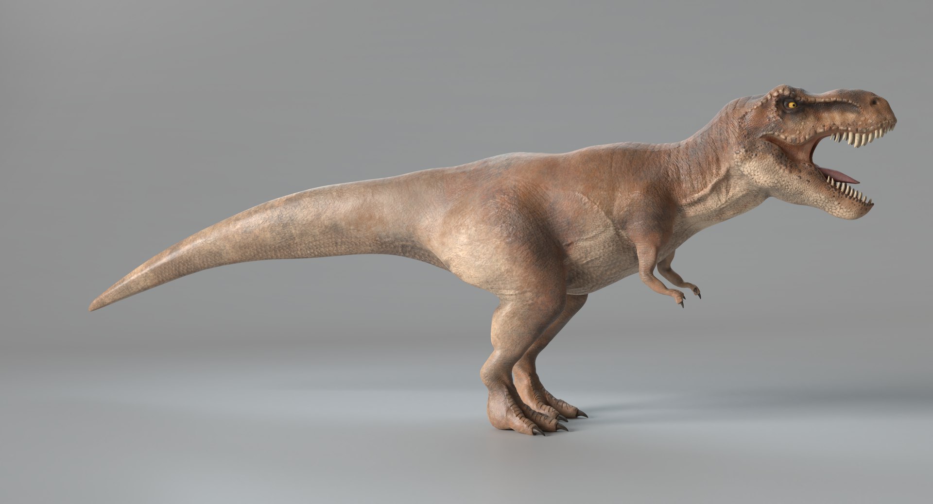 tyrannosaurus rex model https://p.turbosquid.com/ts-thumb/41/1otR9o/83T4LXcw/images0003/png/1525881698/1920x1080/fit_q87/16ced0c5f12b7bdfd805e8635ec5f7b1926777f1/images0003.jpg