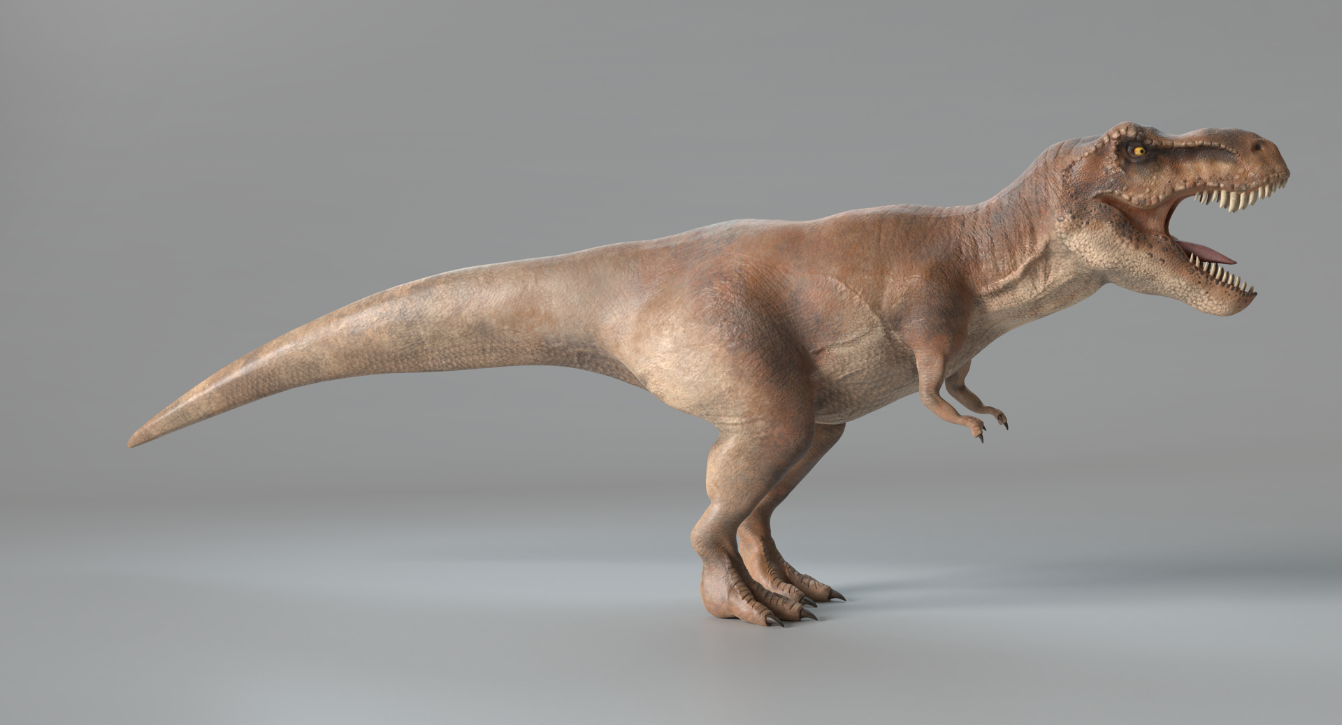 Tyrannosaurus rex model - TurboSquid 1284843