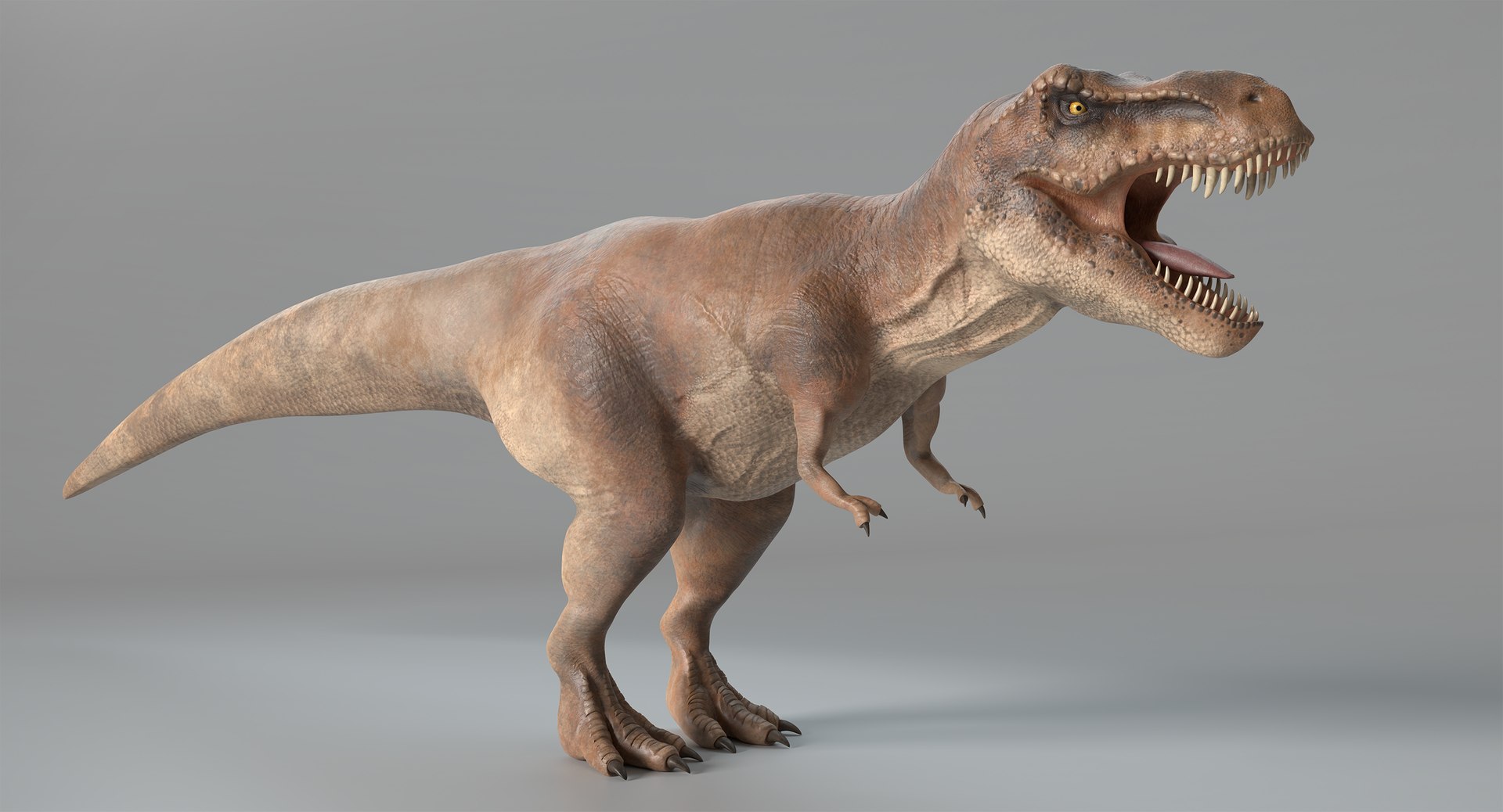 tyrannosaurus rex model https://p.turbosquid.com/ts-thumb/41/1otR9o/9uZPWcwK/thumbnail_colored_1/png/1525881676/1920x1080/fit_q87/af43bbde5bec4ccc45d969cde23d4cae963e506b/thumbnail_colored_1.jpg