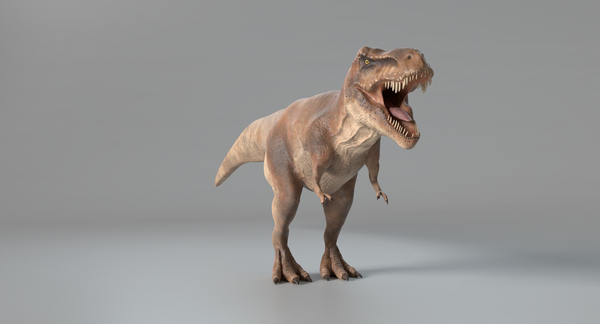tyrannosaurus rex model https://p.turbosquid.com/ts-thumb/41/1otR9o/DgJ7bUZC/images0034/png/1525881699/1920x1080/fit_q87/b031cbbaebb3c5059ee5c45c98fd7c0a6f10147c/images0034.jpg