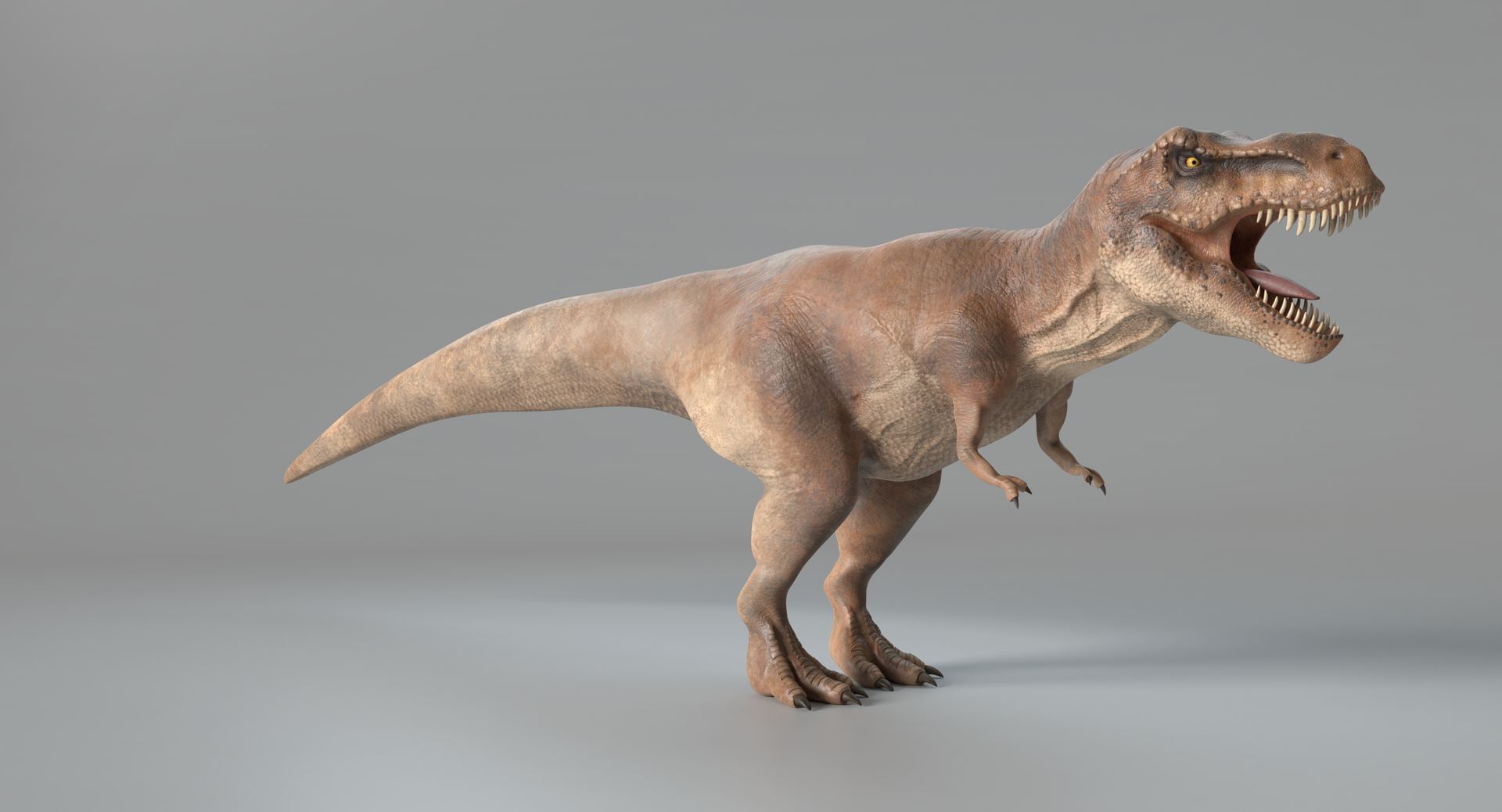 tyrannosaurus rex model https://p.turbosquid.com/ts-thumb/41/1otR9o/YF0hvfsJ/images/png/1525881793/1920x1080/turn_fit_q99/3721b035b826279056793ae0abcd454ba2f023f4/images-1.jpg