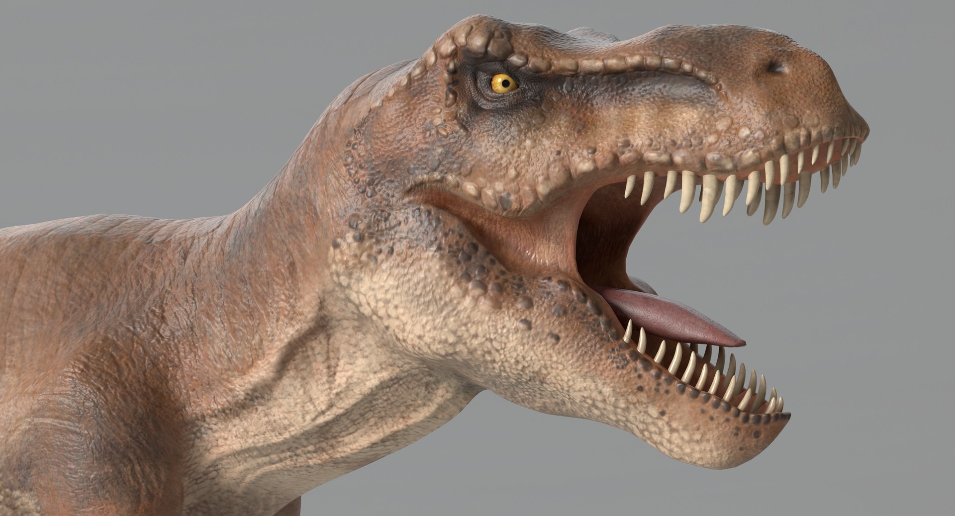 tyrannosaurus rex model https://p.turbosquid.com/ts-thumb/41/1otR9o/ZAOUaJ62/thumbnail_colored_3/png/1525881676/1920x1080/fit_q87/af433fbfc8c0ada23fea230dc0062e3a3fc49dfa/thumbnail_colored_3.jpg