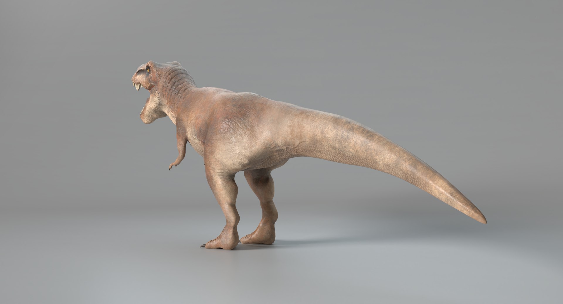 tyrannosaurus rex model https://p.turbosquid.com/ts-thumb/41/1otR9o/dD0IAI1J/images0018/png/1525881698/1920x1080/fit_q87/a0fdb475467da7401cab7e8adc0de0ee086c10c9/images0018.jpg