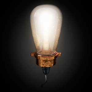 light bulb 3d max