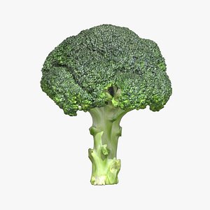 Broccoli Low Poly