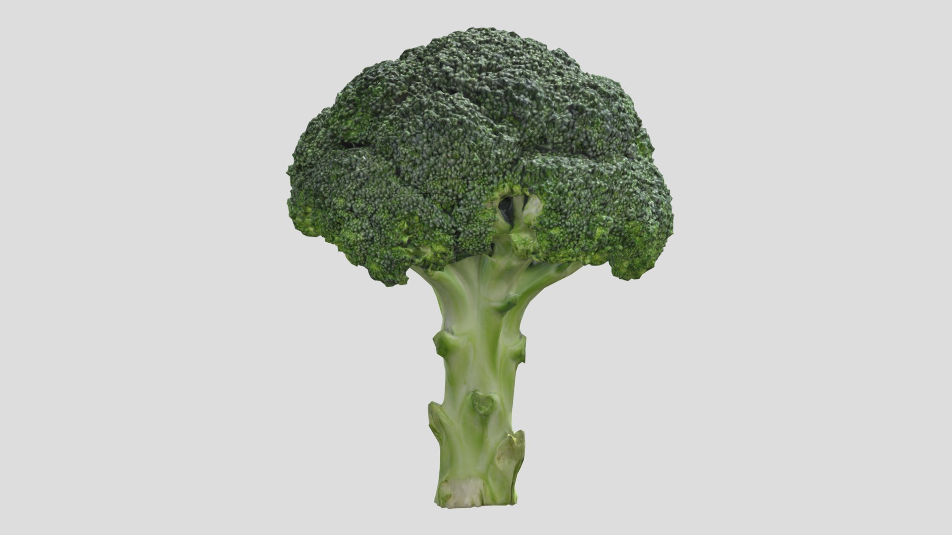 3D Model Broccoli Low Poly - TurboSquid 2272099