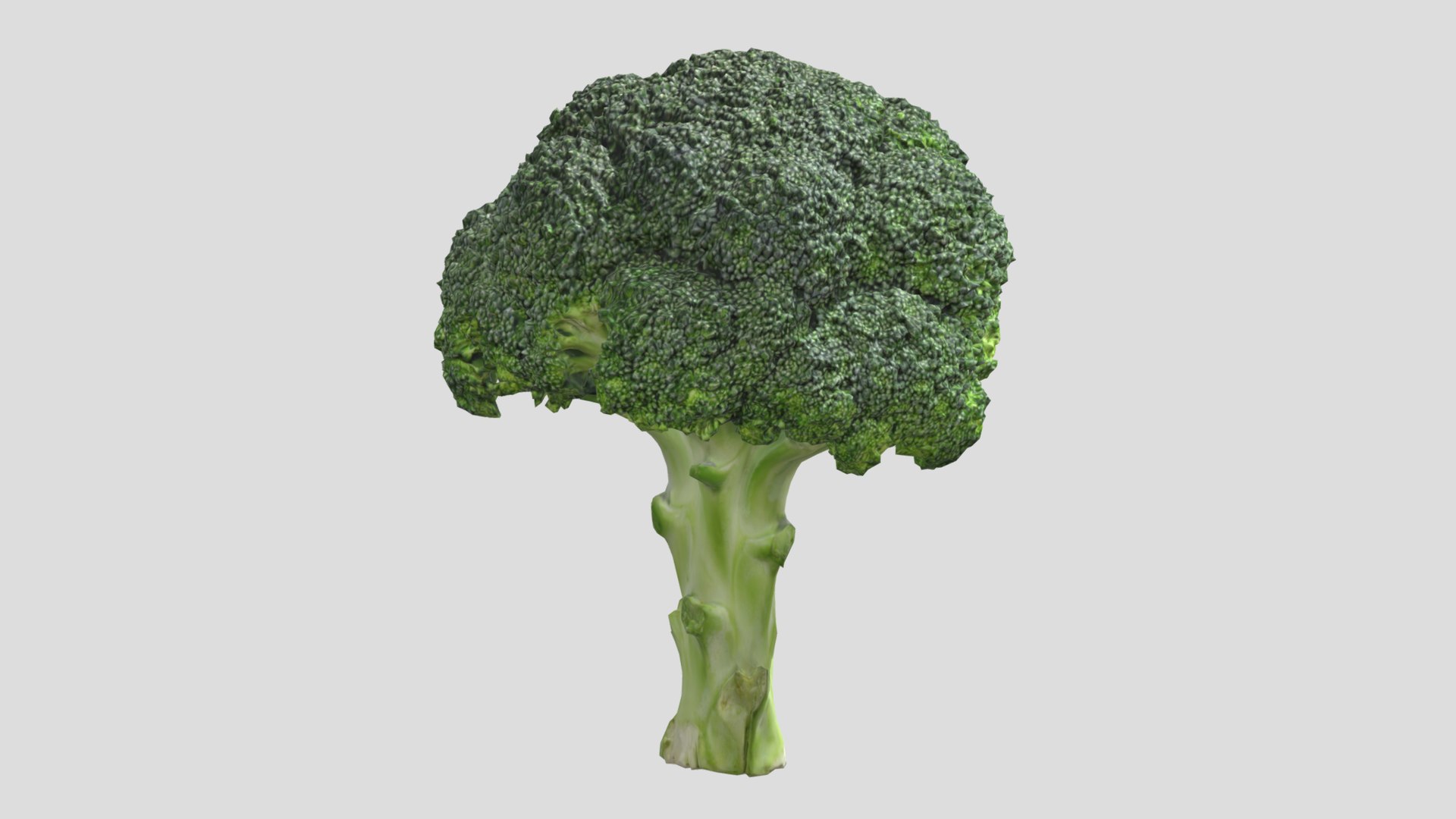 3D Model Broccoli Low Poly - TurboSquid 2272099