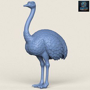 Ostrich Bird Print Ready 3D Model 3D model