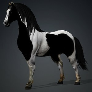 Horse-B1 3D model