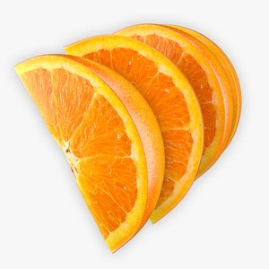 orange slice 3d model