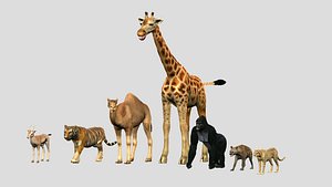 3D realistic wild animals pack