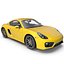 Porsche Cayman 2013 Sport Car Without Interior