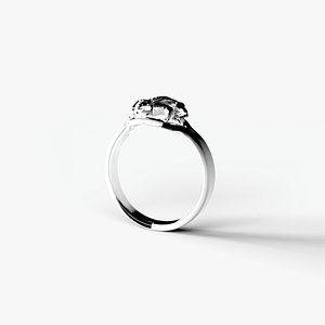 3D Lizard ring model