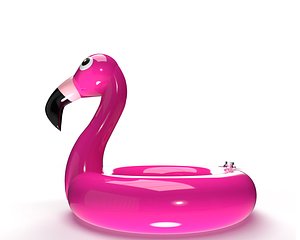 Flamingo Pool Float