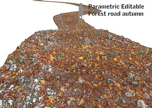 forest road autumn 16k 3d model