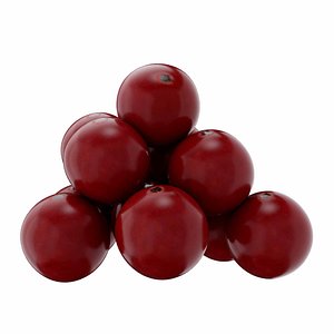 Red Currant 3D model