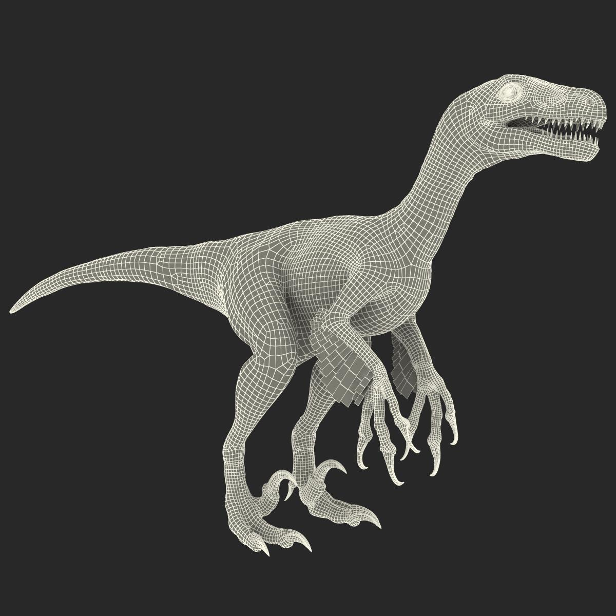 3d dromaeosaurus model